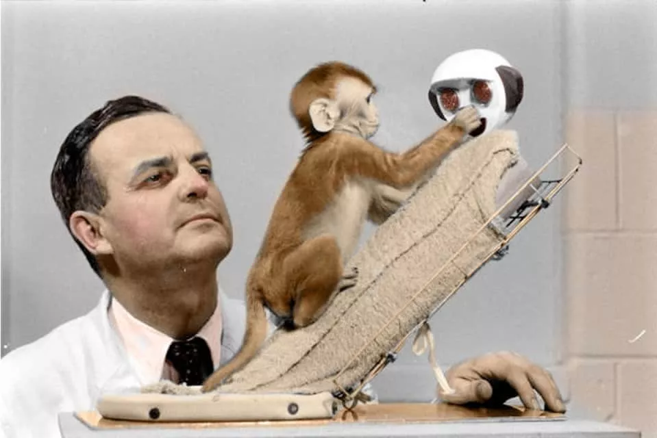 Harry Harlow - American psychologist