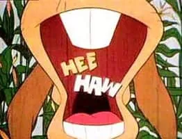 Hee Haw - American television show