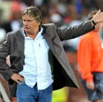 Henri Michel - French historian