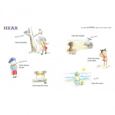 I Hear a Pickle: And Smell, See, Touch, and Taste It, Too! - Book by Rachel Isadora