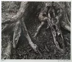 Kent Bellows - Artist