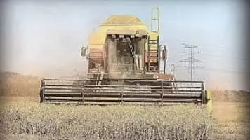 L. 627 - 1992 ‧ Drama/Crime ‧ 2h 25m