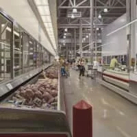 Marc Trujillo - American painter