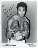 Marvin Camel - Boxer