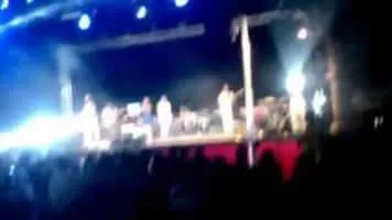 Nick Fortuna - Musician