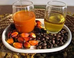 Palm oil - Edible oil