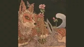 Planes Mistaken for Stars - Rock band