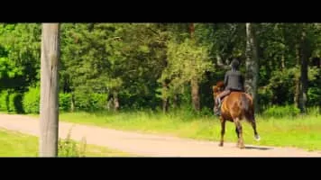 Ricky Rapper and the Miser from Seville (Risto Räppääjä ja Sevillan saituri) - 2015 ‧ Family ‧ 1h 13m