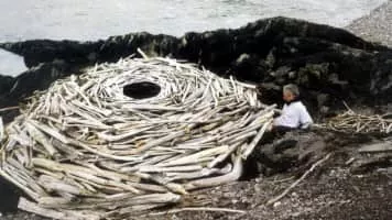 Rivers and Tides: Andy Goldsworthy Working with Time - 2001 ‧ Indie film/Documentary ‧ 1h 32m