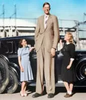 Robert Wadlow - 