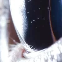 Roly Porter - Musical artist