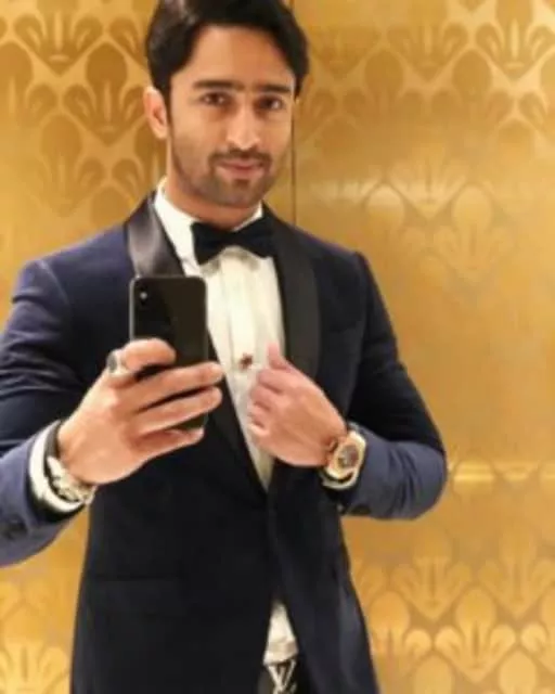 Shaheer Sheikh - Indian actor
