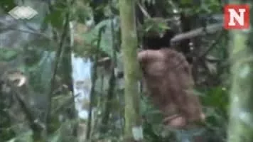 Sole Survivor - 2013 ‧ Documentary ‧ 1h 31m