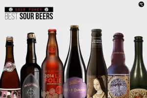 Sour beer - Beer style category