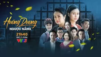 Sunflower Against the Sun (Hướng dương ngược nắng) - TV program