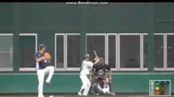 Taiga Hirasawa - Japanese baseball infielder