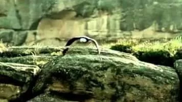 The Main Chance - British television series