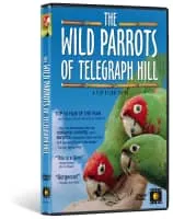 The Wild Parrots of Telegraph Hill - 2003 ‧ Indie film/Documentary ‧ 1h 23m