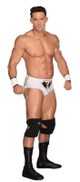 Tino Sabbatelli - American former professional wrestler