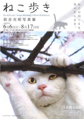 Wildlife Photographer Mitsuaki Iwago's World Cats Travelogue Television show - 2012 ‧ Documentary ‧ 7 seasons