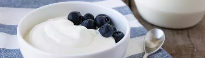 Yoghurt - Food