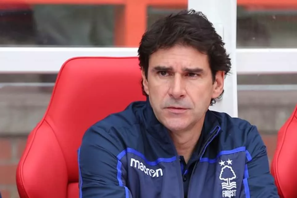 Aitor Karanka - Spanish football manager