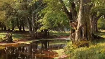 Blandine Staskiewicz - Opera singer