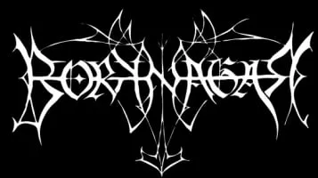 Borknagar - Band