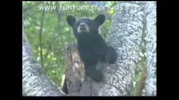 Brent Holmes - Musical artist