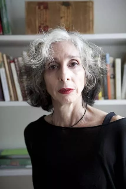 Deborah Eisenberg - American short story writer