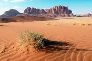 Desert - Geographical feature category