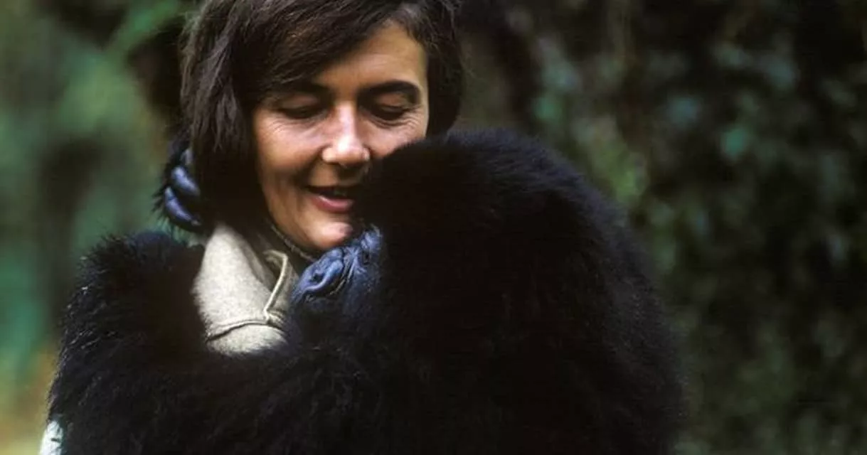 Dian Fossey - 