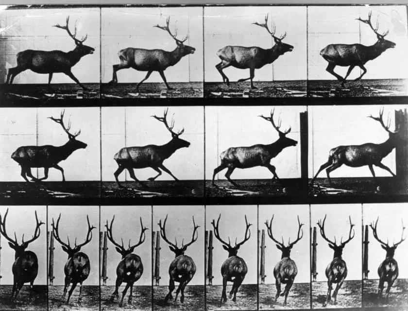 Eadweard Muybridge - Photographer