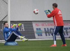 Gintaras Staučė - Lithuanian football player