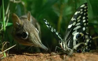 Hidden Kingdoms - British television series