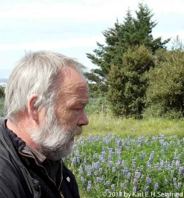 Hilmar Örn Hilmarsson - Musician