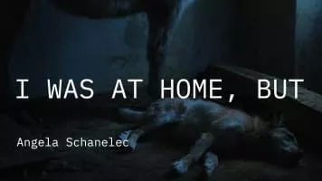 I Was at Home, But - 2019 ‧ Drama ‧ 1h 45m