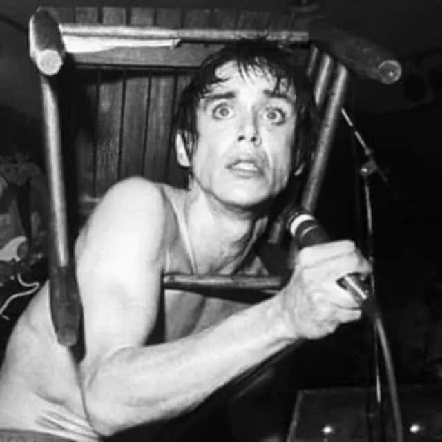 Iggy Pop - American singer