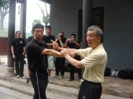 Ip Ching - Chinese martial artist
