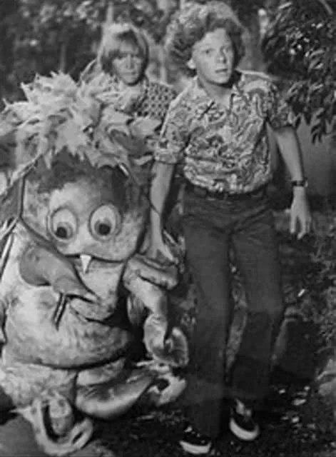 Johnny Whitaker - American actor