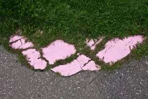 katarzyna przezwańska - Visual artist