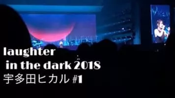 Laughter in the Dark - Novel by Vladimir Nabokov