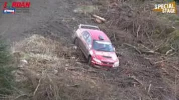 M. Wilson - Basketball player