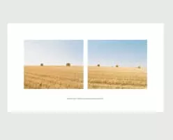 María Bleda and José María Rosa (María Bleda y José María Rosa) - Artist