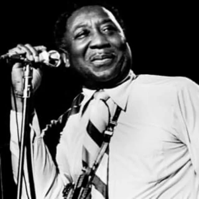 Muddy Waters - American singer