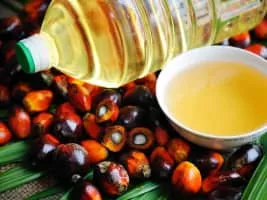 Palm oil - Edible oil