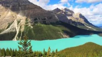 Peyto Lake - 