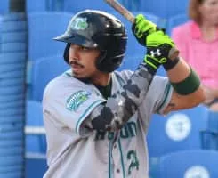 Sebastián Elizalde - Mexican baseball player