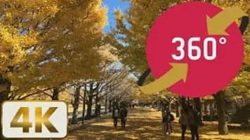 Showa Memorial Park - 