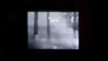 Sturqen - Musical band